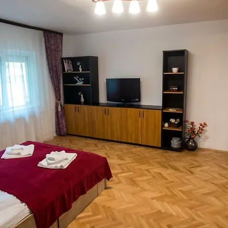 Avec 1 chambre * Timişoara